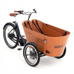 Vélo cargo électrique Babboe Carve Moutain 