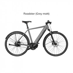 VÉLO ÉLECTRIQUE RIESE & MULLER ROADSTER TOURING