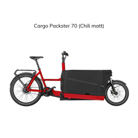 VÉLO ÉLECTRIQUE RIESE & MULLER Packster 70 TOURING